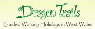  Logo Dragon Trails 